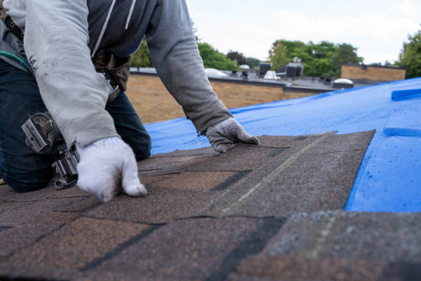 Quick and Trustworthy Emergency Roof Repair Services in Forty Fort, PA